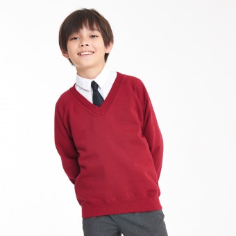 Image 1 of Kids Coloursure™ v-neck sweatshirt