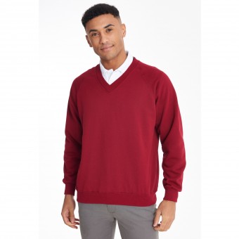 Image 1 of Coloursure™ v-neck sweatshirt