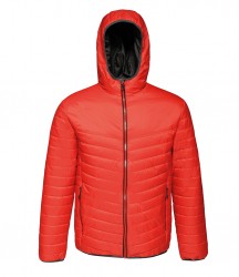 Image 7 of Regatta Acadia II Down-Touch Padded Jacket