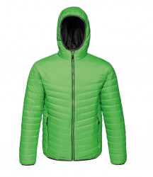 Image 8 of Regatta Acadia II Down-Touch Padded Jacket