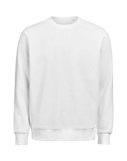 Um Crewneck Regular Fit Ocs/rcs