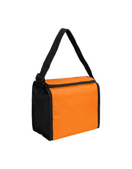 Cooler Bag