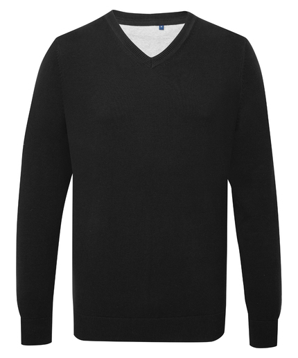 Men's Cotton Blend V-neck Sweater