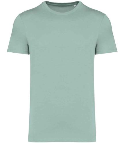 Native Spirit Unisex Heavyweight T-Shirt