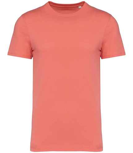 Native Spirit Unisex Heavyweight T-Shirt