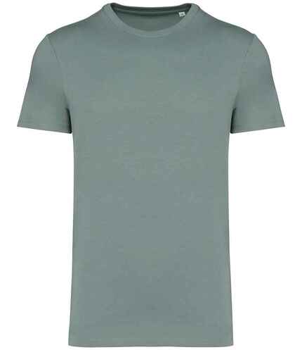 Native Spirit Unisex Heavyweight T-Shirt