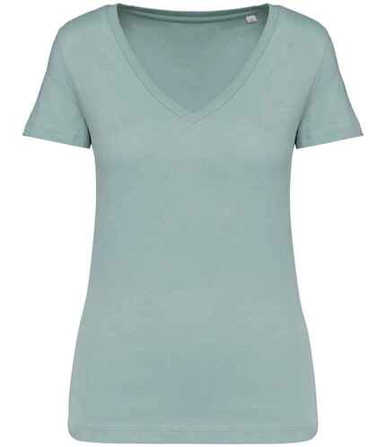 Native Spirit Ladies V Neck T-Shirt
