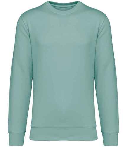 Native Spirit Unisex Crew Neck Sweatshirt