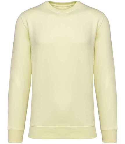 Native Spirit Unisex Crew Neck Sweatshirt