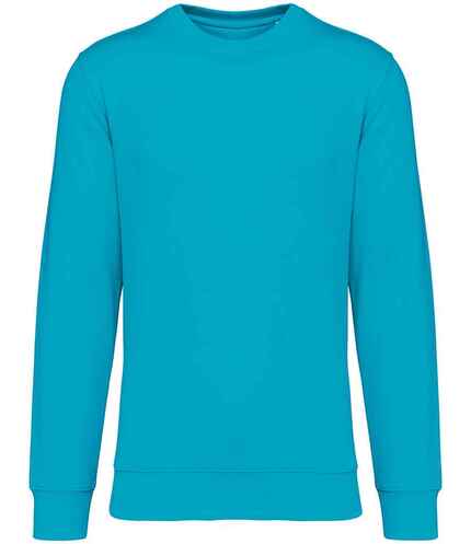Native Spirit Unisex Crew Neck Sweatshirt