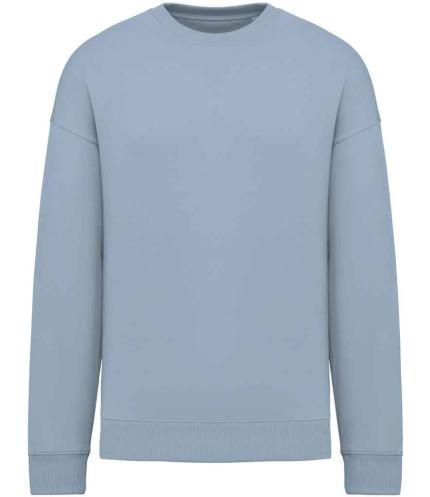 Native Spirit Unisex Oversized Sweatshirt
