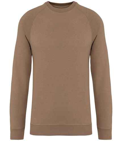 Native Spirit Unisex Raglan Sleeve Sweatshirt