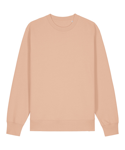 Unisex Changer 2.0 Iconic Crew Neck Sweatshirt (STSU178)