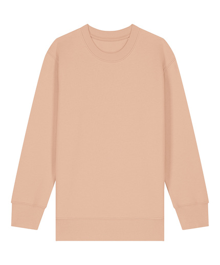 Kids Mini Changer 2.0 Iconic Crew Neck Sweatshirt (STSK181)